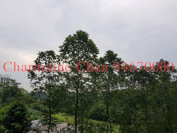 Eco Sanctuary (D23), Condominium #175095892